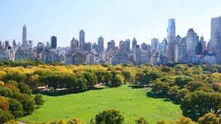 New York City's Green Revolution