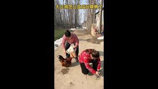 How did my big cock become a toy goose?
