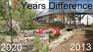 7 Year of Eco-Restoration - Mackay Creek/Estuary Restoration