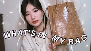 Binny TV гийн цүнхэнд юу байдаг вэ?  【What’s in my bag】