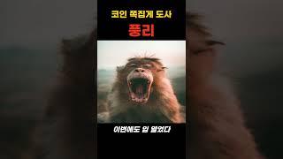 코인 쪽집게 도사 풍리 한마디에 비트코인 폭등?! #비트코인 #비트코인전망 #금리발표 #파월발언