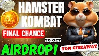 HAMSTER KOMBAT: FINAL AIRDROP BATTLE! Don’t Miss Out! HAMSTER KOMBAT #hamsterkombat