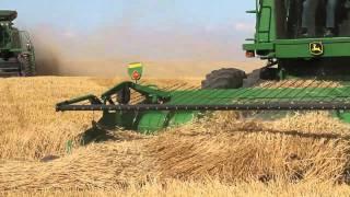 Grain Harvest in Alberta