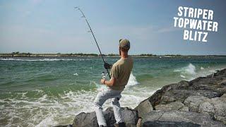 INSANE Striped Bass TOPWATER BLITZ -  In Search of Fall Run Stripers - Surf Fishing Long Island