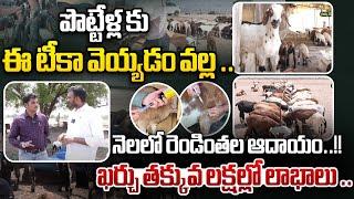 ఈ టీకా వెయ్యడం వల్ల .. | Due To This Vaccination Doubled Monthly Income For Goat | Rytanna Nestam