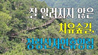 잘 알려지지 않은 치유숲길 | 충북 옥천 장령산자연휴양림 | 무장애데크길 포함