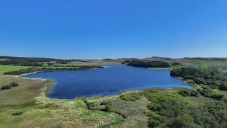 Hadrian's Wall: Recovering Nature