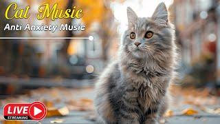 Sleep Music for Cats  Soothing Feline Music - Perfect for a Calm and Happy Cat