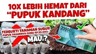 PUPUK DASAR MODAL RP 20.000 SAJA.!!! 10X LEBIH HEMAT DARI PUPUK KANDANG. MAU.??