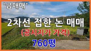 "급매매" 공시지가 가격 / 2차선 접한 논 매매 760평 #밀양 논#밀양부동산#밀양초동면토지#밀양주말농장토지