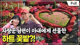 [Full] 한국기행 - 내가 그린 꽃밭 1부 울긋불긋 꽃 대궐