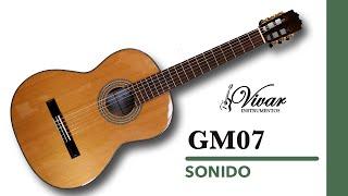 Instrumentos Vivar | GM07 | Sonido