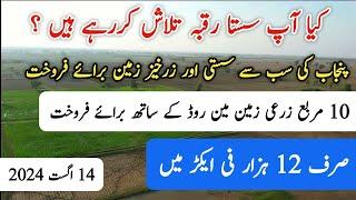 Agriculture land for sale | zameen for sale | land for sale | raqba for sale in Punjab Pakistan