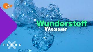 Was die Anomalie des Wassers bedeutet | Terra X plus