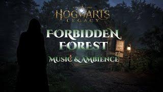 Forbidden Forest | Harry Potter Hogwarts Legacy Cinematic Ambience