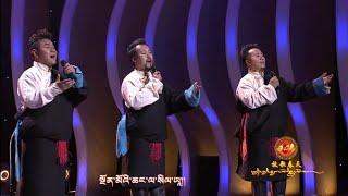 Best Tibetan song| གྲོ་མོ་རིན་ཆེན་སྒང་། 卓木仁青岗  | Dromo Rinchen Gangla