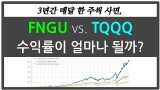 FNGU vs. TQQQ 매달 한 주씩 투자하면 수익률 얼마 나올까?