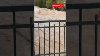 Baden bei wien hochwasser #hochwasser #überschwemmung #katastrophe #österreich #baden #wien #vienna