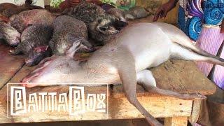 SHOCKING: What You Find In Nigeria's Bush Meat Market