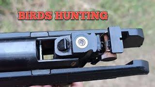 amazing shoots wild birds hunting | by airgun gamo black fusion Springer!