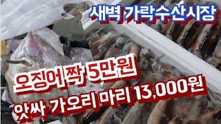 요즘 대세 오징어 짝에 5만원, 앗싸 가오리 마리 만3천원 / 고급어종 은대구 알려드려요