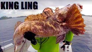 Fishing for Monster Lingcod