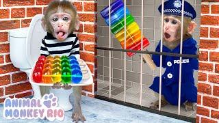 Monkey Rio eats Rainbow Jelly and Escapes from Mysterious Basement | Animal Monkey Rio