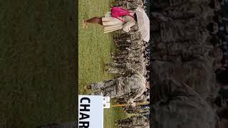 GRADUACION TRAINING MILITARY 1 BATALLON 61 INFANTRY FORT JACKSON SOUTH CAROLINA USA 2021