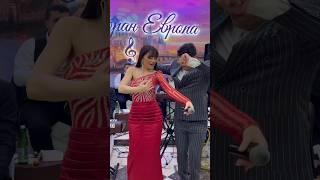 Свадьба Питер| 2024 Сакит & Zeyneb #хит #сакитсамедов #muzikvideo #music