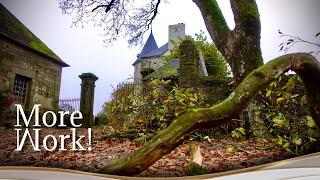 The TREE Comes DOWN In The WALLED GARDEN.