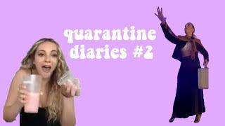 Quarantine Diaries #2