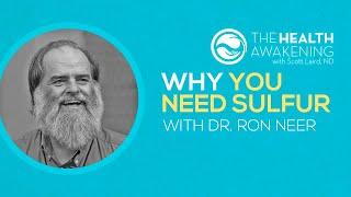 Why You Need Sulphur (Guest: Dr. Ron Neer) | THE HEALTH AWAKENING EP. 155