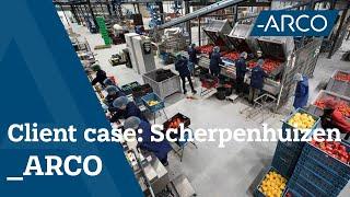 Case: Vegetable Processing Automation at Scherpenhuizen - Agri & Food Machines - ARCO Solutions