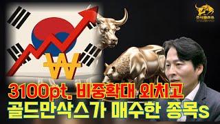 골드만삭스가 집중 매수한 핵심 종목은? [헬스케어,소매유통,지주사,저pbr]