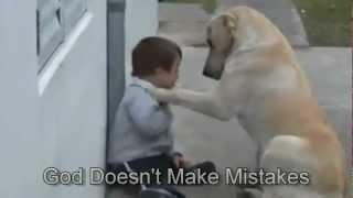 Sweet Mama Dog Interacting with a 3yo DS child From Jim Stenson.