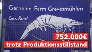 Fördergelder trotz Produktionsstillstand in Garnelen-Farm Grevesmühlen?