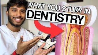 What Do You ACTUALLY Learn in First Year Dentistry?