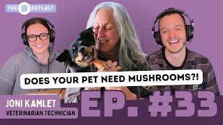 DOES YOUR PET NEED MUSHROOMS?! The BK Petcast w/ Joni Kamlet of Real Mushrooms