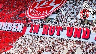 Tifo FC Koln Ultras in First Match Bundesliga || Köln vs Schalke 04 (07.08.2022)