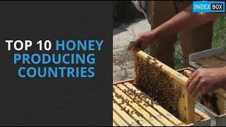 Top 10 Honey Producing Countries