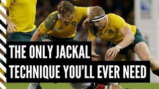 How to Coach the Jackal in 5 Easy Steps - Rugby Coaching Tips