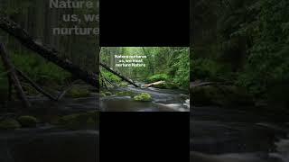 #nature nurture #inspirequotes #quotes #inspirehub #nature