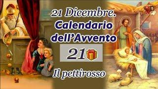 21 Dicembre, il Calendario dell’Avvento  Il pettirosso