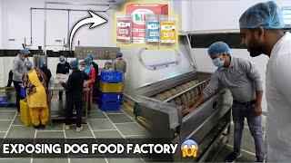 How Dog Food is Made in Big Industries in India   (Big Expose)