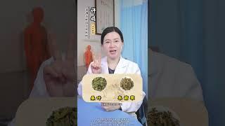 桑叶是个宝，用处还真不少 #桑叶 #中医 #医学科普 #养生 #抖出健康知识宝藏