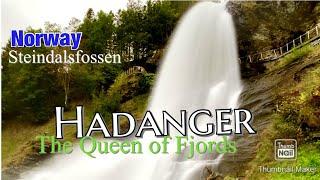 Norway -The land of fjords || Hadangerfjord || Steindalsfossen Norheimsund #Visitnorway #Norway