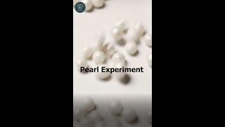 Pearl Experiment | IIG South