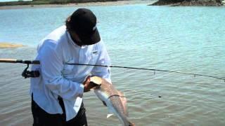 Redfish in Jacksonville,FL Matt and Dallas