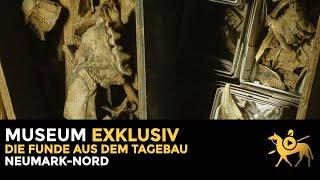 Die Funde aus dem Tagebau Neumark-Nord | Museum exklusiv