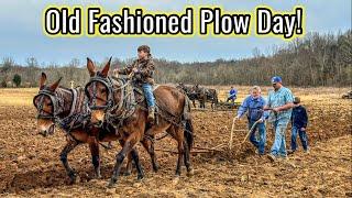 PLOWING with MULES at The Kennedy’s Farm…#200